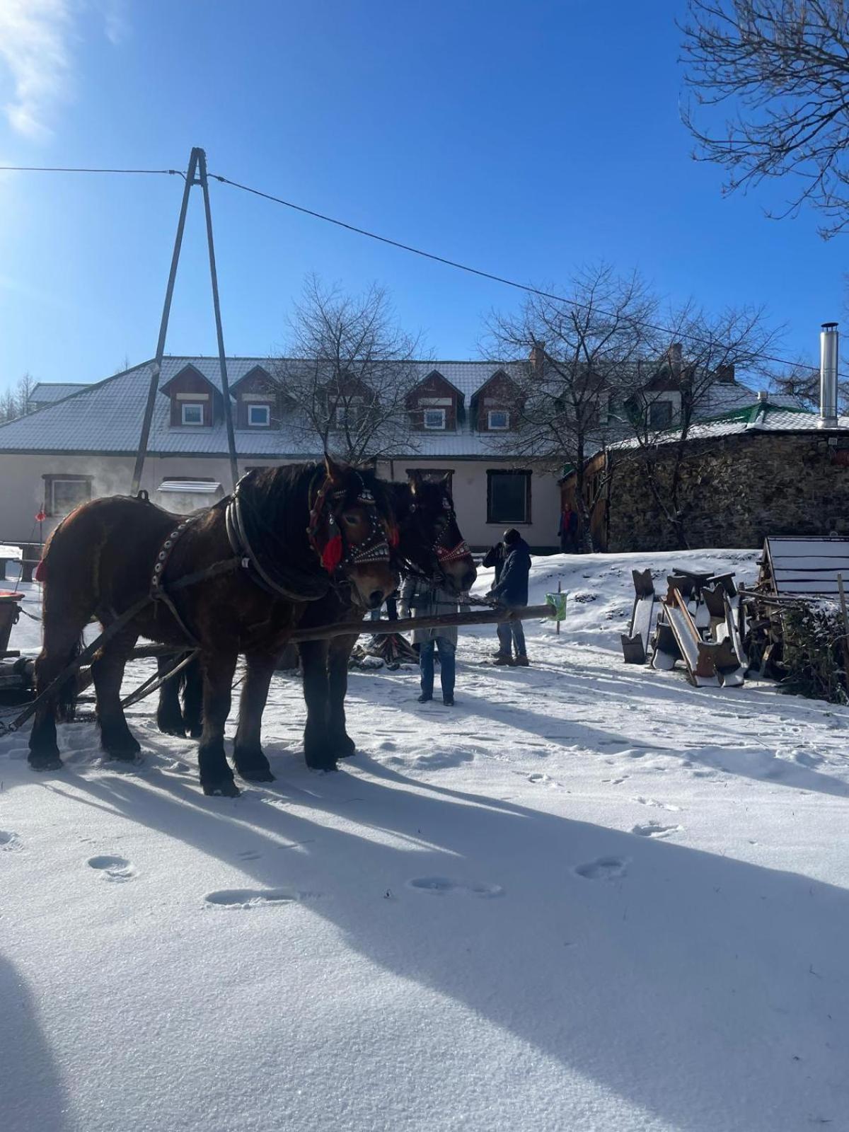 Hotel Latarnia Wagabundy Bieszczady Wola Michowa Exterior foto