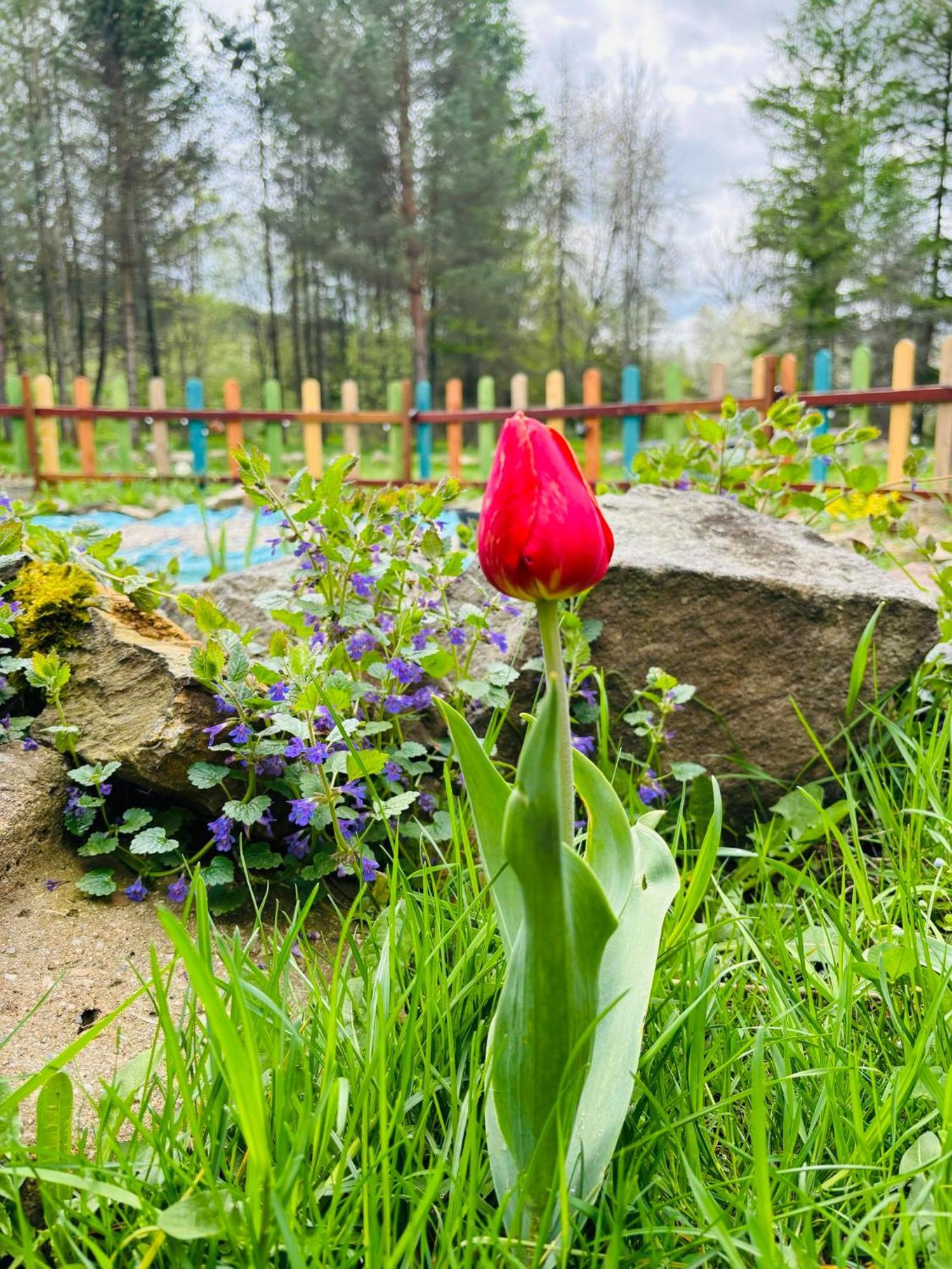 Hotel Latarnia Wagabundy Bieszczady Wola Michowa Exterior foto