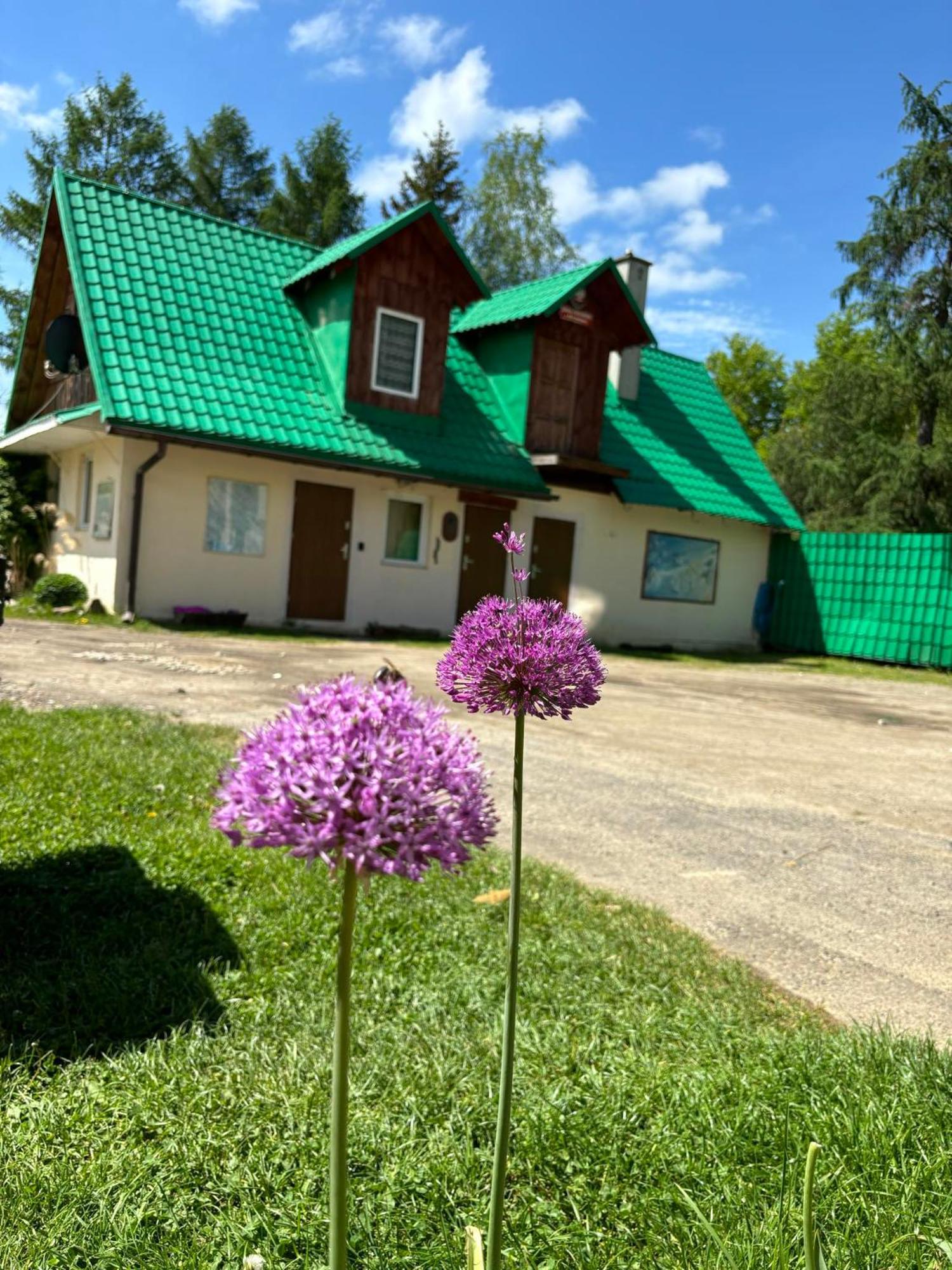 Hotel Latarnia Wagabundy Bieszczady Wola Michowa Exterior foto